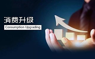 头头是道基金:大消费创业,核心在“操盘”能力