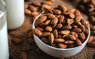 线上线下皆“两难” 告别高增长的三只松鼠将何去何从？