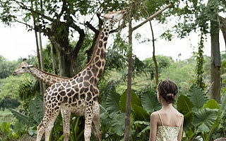 管理混乱、宠物死亡、资金链断裂：网红生意“室内动物园”要凉了？