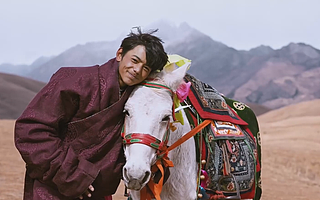 老中青三代网红的爆款法则