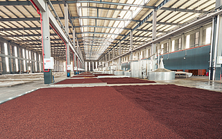 造车模式大相径庭，苹果与华为谁才是“正道”？