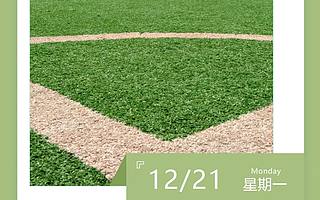 天府新区新增3所“国际范儿”学校