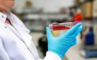 依靠收購代理外來技術?華東醫藥布局國內醫美市場