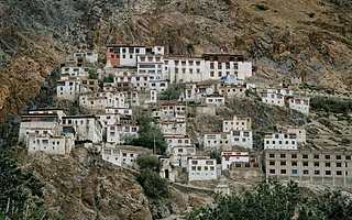 路漫且长：丁真爆红背后的藏区公益电商