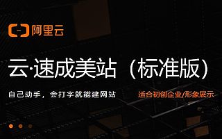 云·速成美站(标准版),适合初创企业/形象展示|创头条补贴499元