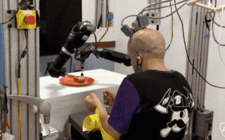 甩马斯克几条街？四肢瘫痪患者用“大脑意念”操控机械臂