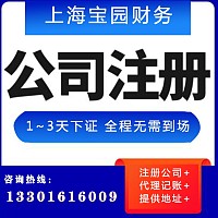 税务筹划上海工商服务