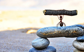 [0105创精选]互联网加班惹争议，“打工人”拒绝拿命换钱