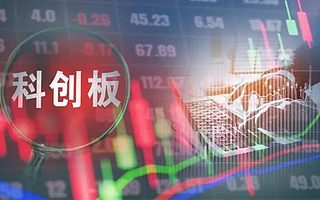 2020年共145家企业登陆科创板 119家选择标准一