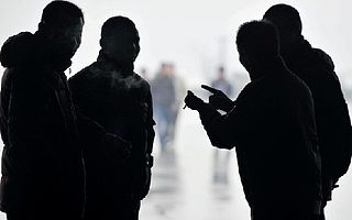 2021，一起庖丁解“黄牛”