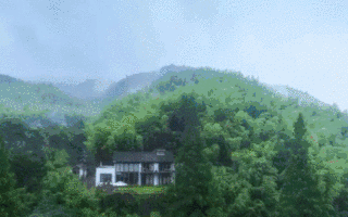 北上廣沒有詩歌，民宿里沒有面包