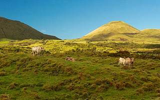 天山生物高管因未及時披露相關信息 收深交所監管函