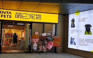 萌它寵物完成千萬級戰略融資，將加速擴張萌它和萌小它品牌