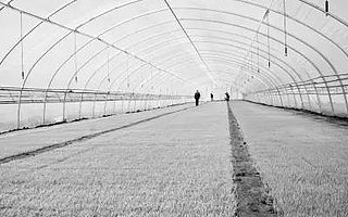 河南公布农业产业化省重点龙头企业名单，多家上市公司在列