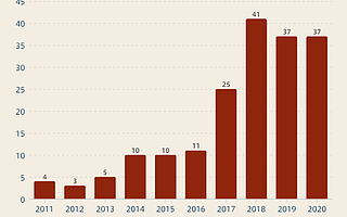 谁家欢喜谁家愁？2020 年科技中概股成绩单盘点