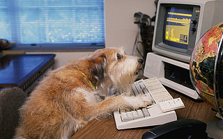 掌控游戏风评的水军是怎么炼成的？