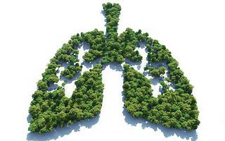 堃博医疗完成D轮融资,加速实现肺部精准介入诊疗一体化闭环