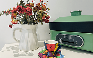 做饭种花、DIY染发、宅家SPA，考拉海购上宅家过年有奇招