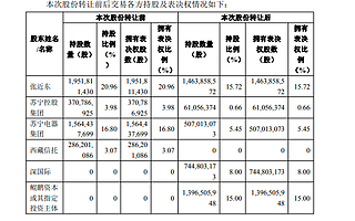 张近东交上新朋友：今天，苏宁大涨65亿