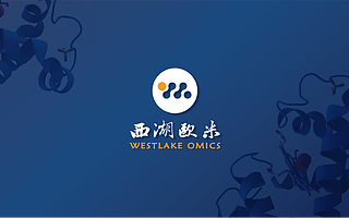 西湖欧米完成数千万元种子轮融资，深耕蛋白质组学研究、助力精准辅助诊断