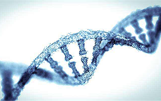 15.57億規(guī)模加速創(chuàng)新醫(yī)藥板塊布局，毅達“健康產業(yè)基金”60天完成二期募集