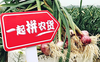 农产品上行助力中国脱贫攻坚战，中国电商平台让海外学者另眼相看