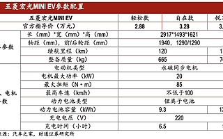 马斯克，这次输给了国民神车