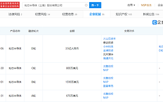 灿芯半导体拟IPO，中芯国际控股、小米长江基金等为公司股东