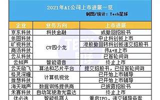 拯救AI独角兽:人工智能产业集体进了「ICU」?