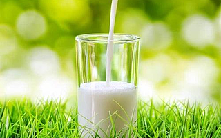 天猫入驻：天猫超市牛奶入驻规则及标准