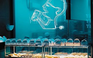 喜茶、星巴克、盒马跨界烘焙，烘焙还有的搞吗？