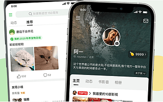 IPO大门前为什么只有豆瓣掉队了