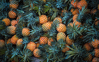 广东一个小县城，年产菠萝70万吨，吊打台湾省