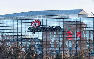 赴美上市20年后，新浪正式宣布私有化，原有垂直業務或成新增長點