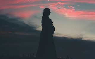 蓝城兄弟2020财年营收增超三成仍亏1.25亿元 终止备受争议的代孕业务