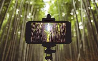 映客2020年营收近50亿元，全年利润同比增长285%