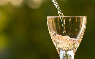 贵州茅台2020年毛利率增至91.41% 营收高达980亿元 海外收入下降