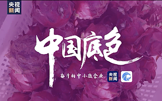 国潮汉服、无人驾驶、物流仓储速度...央视新闻联合天眼查见证中国底色