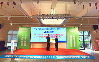 武汉岱家山孵化器科学技术协会正式授牌成立