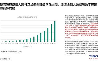 《全球大數據發展分析報告（2020）》在蓉發布 新冠肺炎疫情大流行加速全球數字化進程