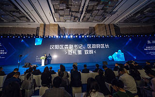 汉阳数字经济高峰论坛圆满举办，打造高质量发展新引擎