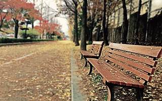 游走在理想与现实之间的贾跃亭被罚2.4亿元终身禁入证券市场