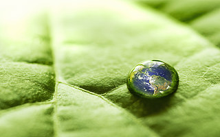 “碳中和”任重道遠，科技初創(chuàng)公司或成最強輔助