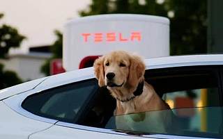 被深扒的女車主  特斯拉事件真相到底是什么？