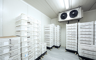 預制菜正式出圈背后，萬億市場藍海待發掘