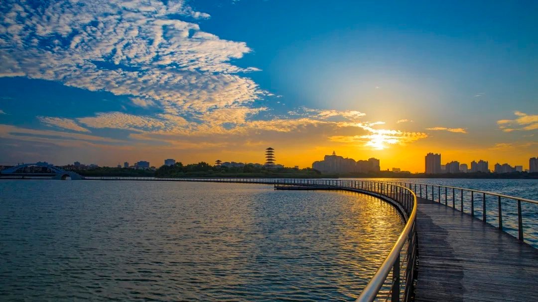 申婷婷:拼搏争先是港城精神,也是清控科创创新基地(张家港)的底色