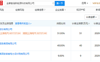 上海電氣等投資金寨智儲新能源科技有限公司