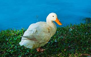 益客食品因安全生產等被罰77萬元 重大環境違法未披露