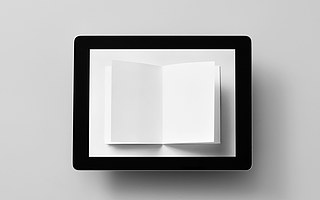 电子阅读器“四大门派”激烈争夺，其出路在何方？