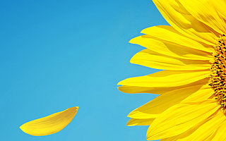 [0606创精选]人人视频回炉重塑，华为全面开源